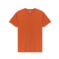 Texas Orange Texas Orange