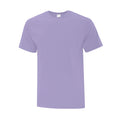 Lavender Lavender