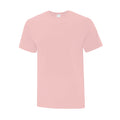 Pale Blush Pale Blush