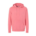 Pigment Pink  Pigment Pink