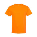 Orange  Orange