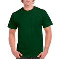 Forest Green Forest Green