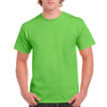 Lime Lime