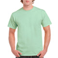 Mint Green Mint Green