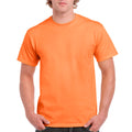 Tangerine Tangerine