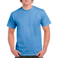 Carolina Blue Carolina Blue