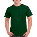 Forest Green Forest Green