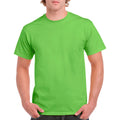 Lime Lime