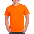 Safety Orange Safety Orange