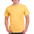 Yellow Haze Yellow Haze