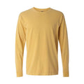 Mustard  Mustard