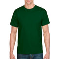 Forest Green Forest Green