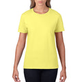Spring Yellow Spring Yellow