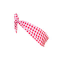 Gingham Red Gingham Red