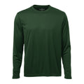 Forest Green Forest Green