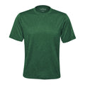 Forest Green Forest Green