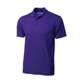 Purple Purple