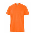 Safety Orange
