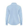Sky Blue Back